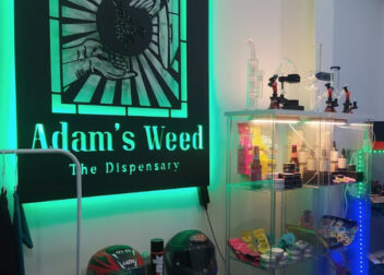 Adam's Weed