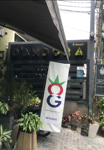 OG Cannabis and Thai Traditional Medicine