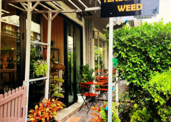 Tenderloin WEED Bangkok