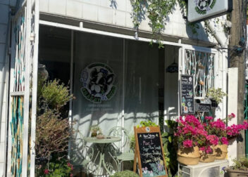 Shaggy Buds Weed Shop.