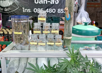 Selling Bai Kratom and Cannabis, Chiang Mai