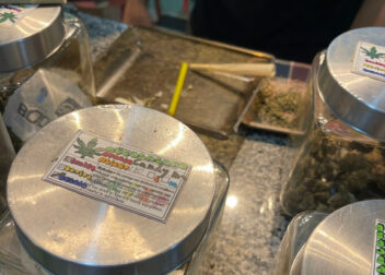 Codfeeshop, Chiang Mai