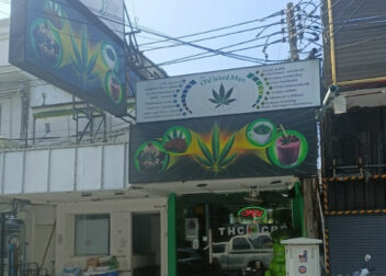 The Old Weed Man, Pattaya