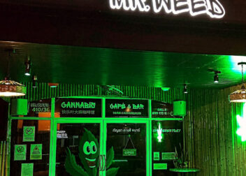 MR.WEED, Pattaya