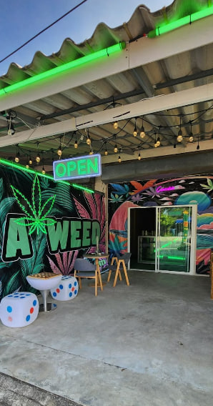 A Weed Bang Por Cannabis Store | Marijuana Shop | Dispensary Koh Samui