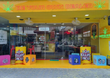 LION ROLLING CIRCUS - Dispensary, Chaweng Beach