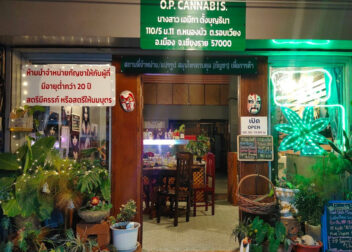 O.p Cannabis, Chiang Rai