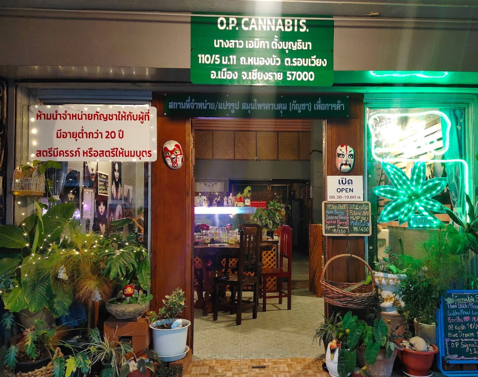 O.p Cannabis, Chiang Rai