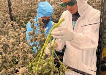 Happy Herbs Farm and Dispensary Chaing Rai