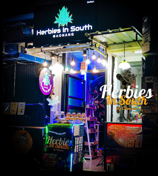 Herbies In South CANNABIS STORE ENJOY @ NUAKLONG KRABI