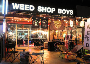 WEED SHOP BOYS, Krabi