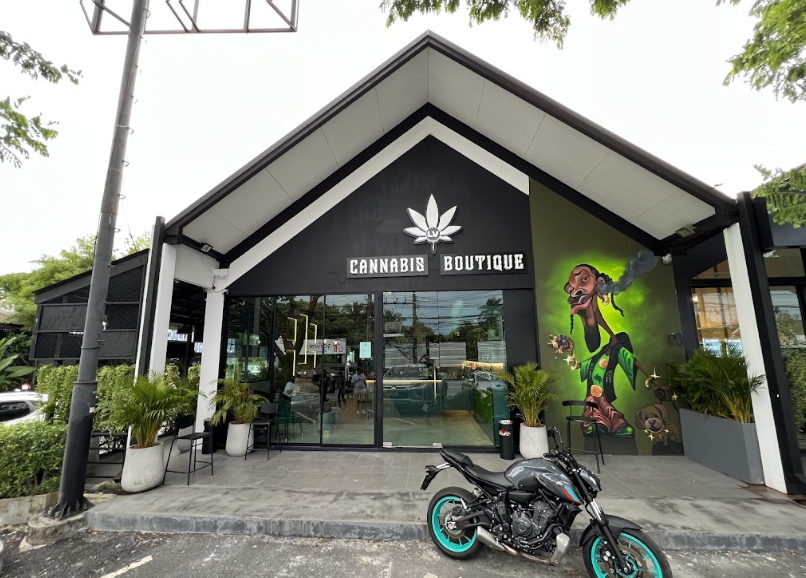 LV Cannabis Boutique - Cannabis store in Bang Tao / Phuket