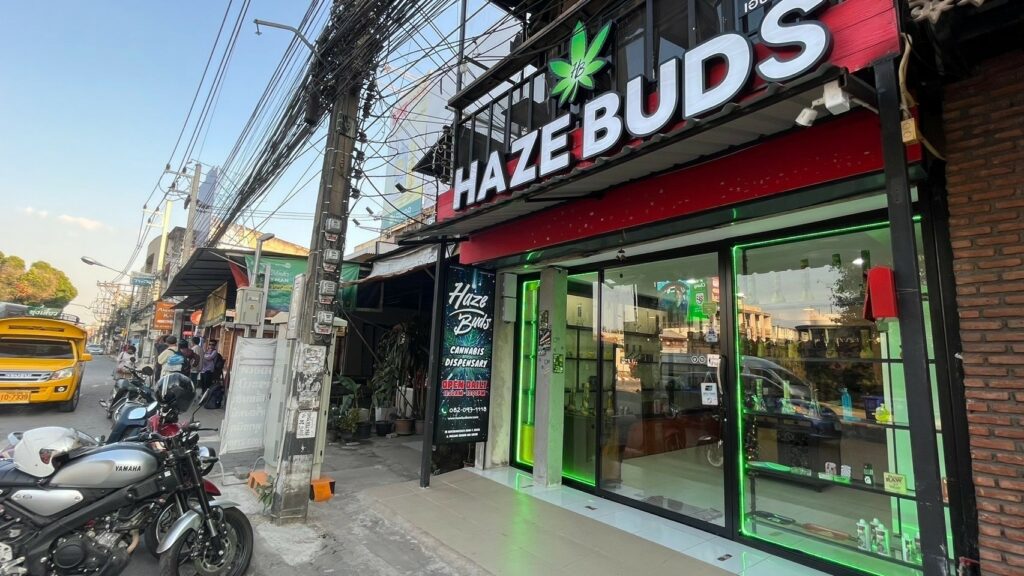 Haze Buds Cannabis Dispensary Chiang Mai Gate Saturday Walking Street